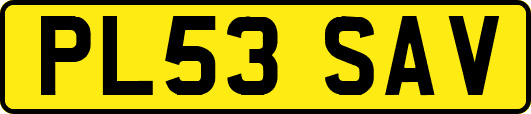 PL53SAV