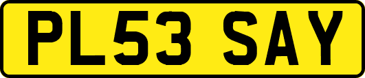 PL53SAY