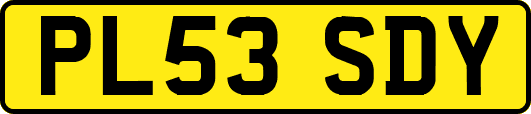 PL53SDY
