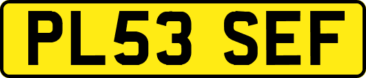 PL53SEF