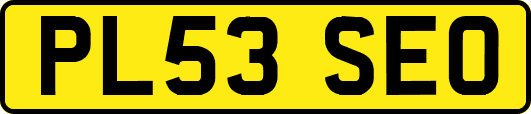 PL53SEO