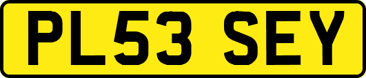 PL53SEY