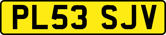 PL53SJV