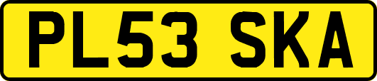 PL53SKA