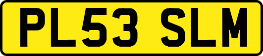 PL53SLM