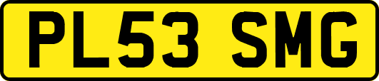 PL53SMG