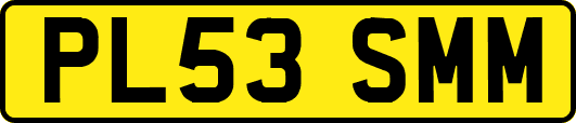 PL53SMM