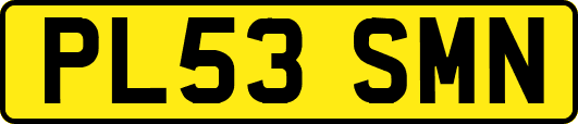 PL53SMN