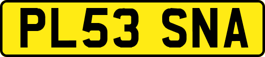 PL53SNA
