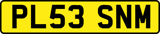 PL53SNM