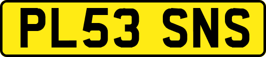 PL53SNS