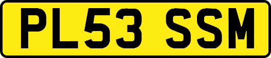 PL53SSM