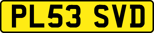 PL53SVD