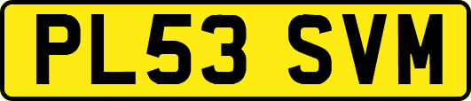 PL53SVM