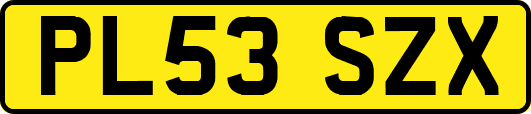PL53SZX