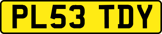 PL53TDY