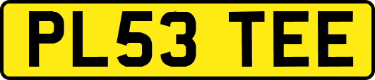 PL53TEE