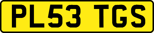 PL53TGS