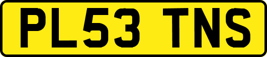 PL53TNS