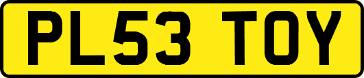 PL53TOY