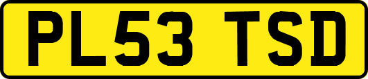 PL53TSD