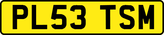 PL53TSM