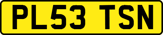 PL53TSN