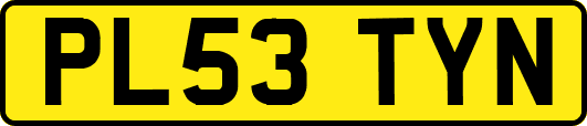 PL53TYN