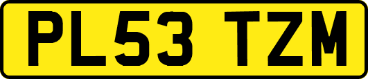 PL53TZM
