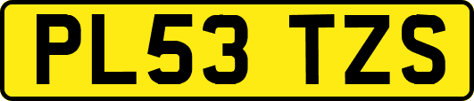 PL53TZS