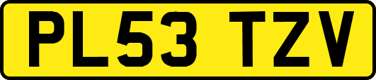 PL53TZV