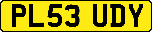 PL53UDY