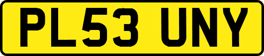 PL53UNY