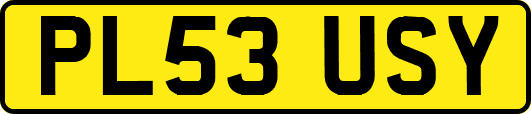 PL53USY