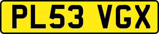 PL53VGX