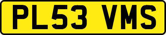 PL53VMS