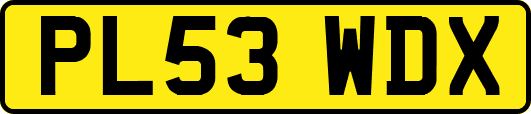 PL53WDX