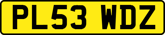 PL53WDZ