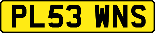 PL53WNS