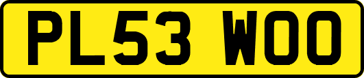 PL53WOO