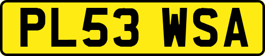 PL53WSA
