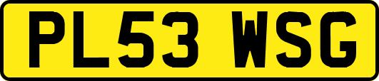 PL53WSG