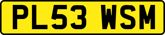 PL53WSM