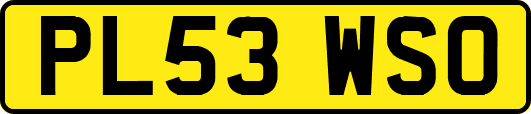 PL53WSO