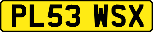 PL53WSX