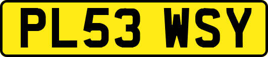 PL53WSY