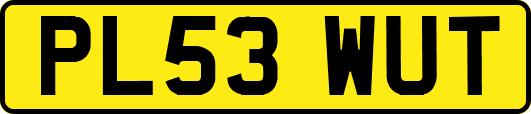 PL53WUT