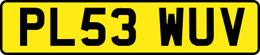 PL53WUV