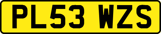 PL53WZS