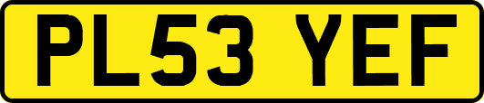 PL53YEF